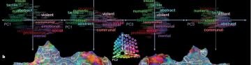 Сигнификативный компонент лексико-семантической информации