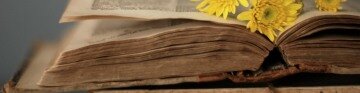 Внешние элементы книги